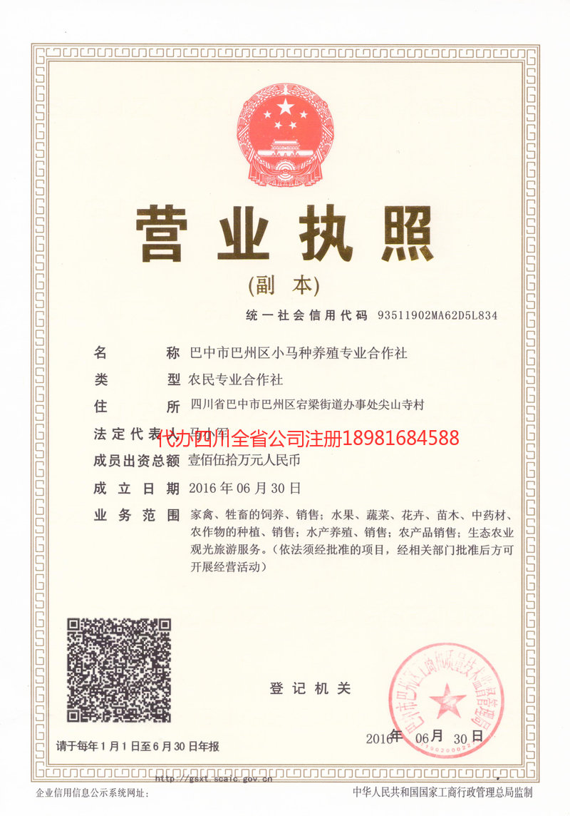 鄂尔多斯鄂尔多斯小马种养殖专业合作社